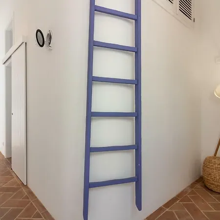 Hébergement de vacances Lavadeira's House